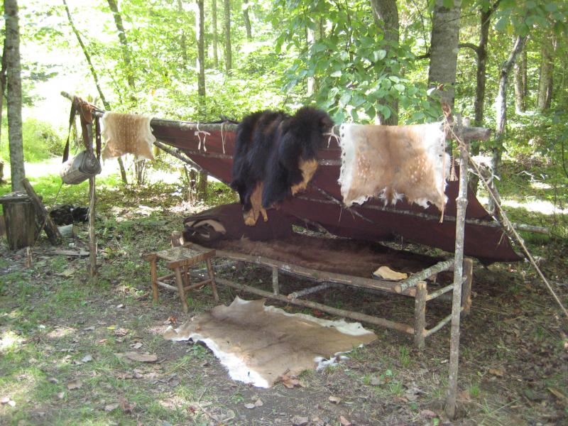 Lean-to in Boone Camp
